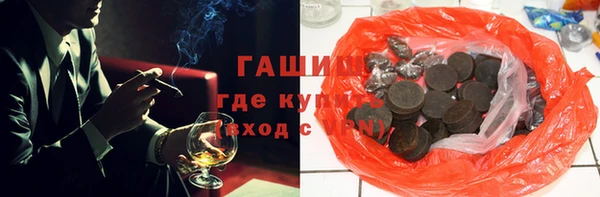 крисы Бородино