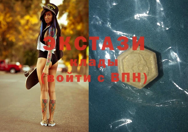 крисы Бородино