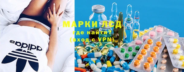 крисы Бородино