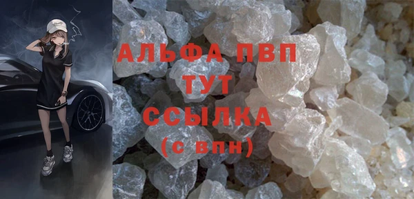 крисы Бородино