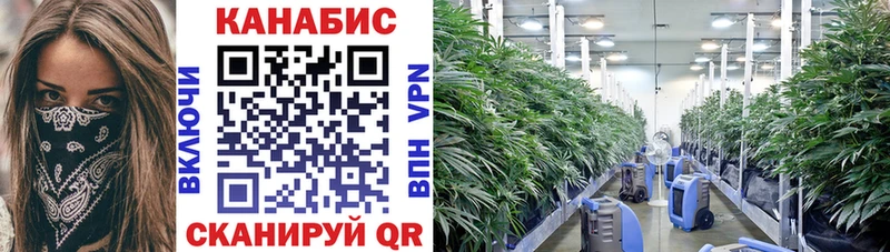 mega сайт Кингисепп Бошки Шишки Ganja